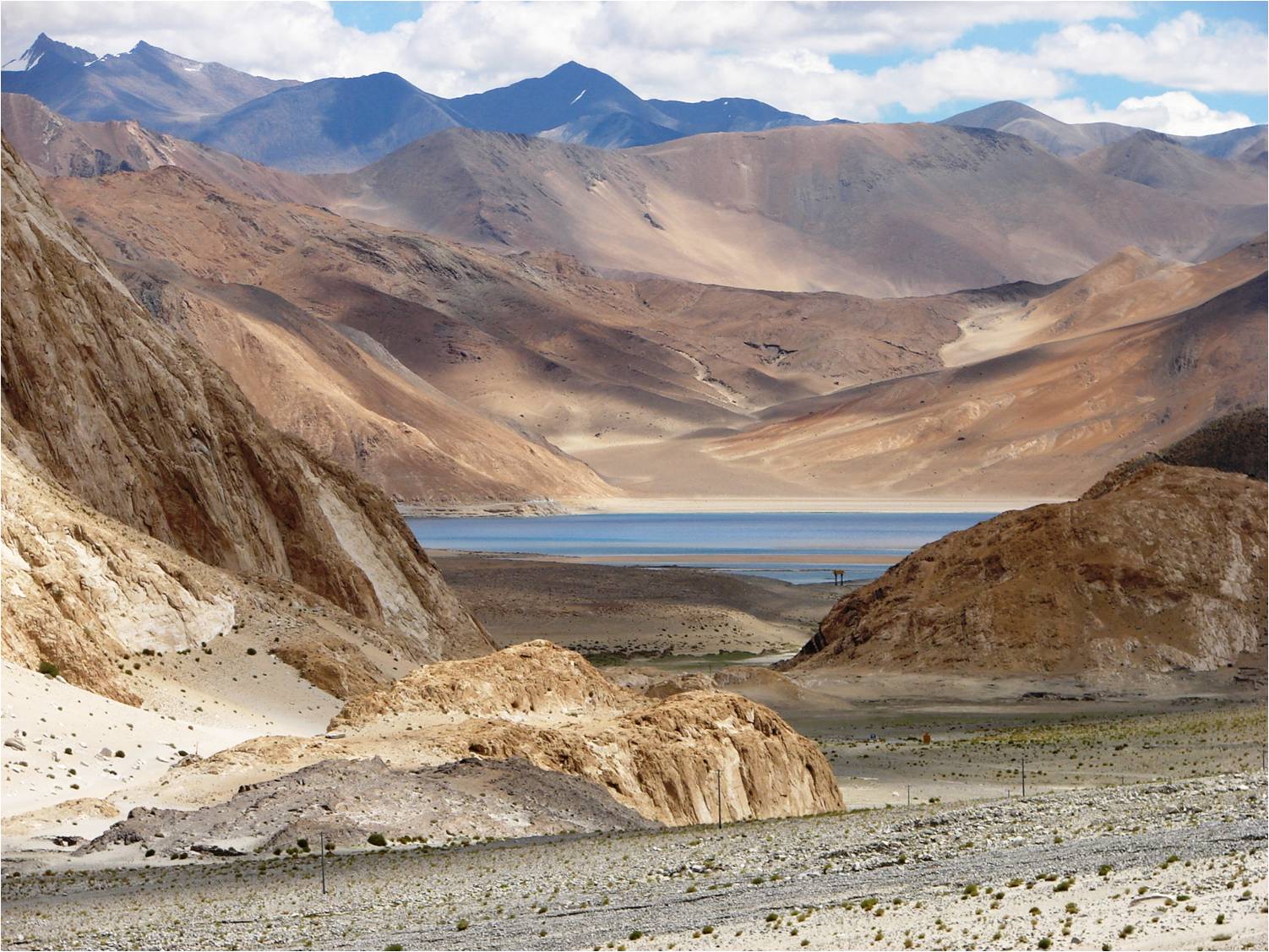Viaje a Leh y Ladakh